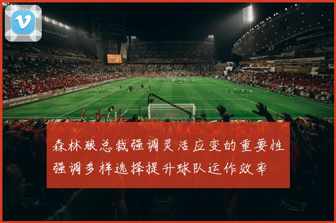 森林狼总裁强调灵活应变的重要性强调多样选择提升球队运作效率