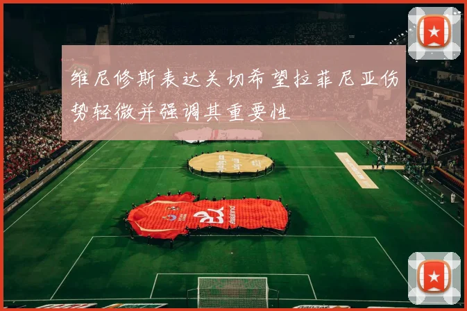 维尼修斯表达关切希望拉菲尼亚伤势轻微并强调其重要性