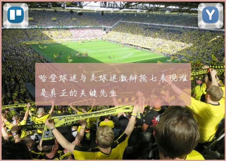 哈登球迷与美球迷激辩抢七表现谁是真正的关键先生
